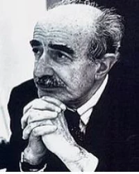 ŞEVKİ VANLI