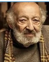 ARA GÜLER