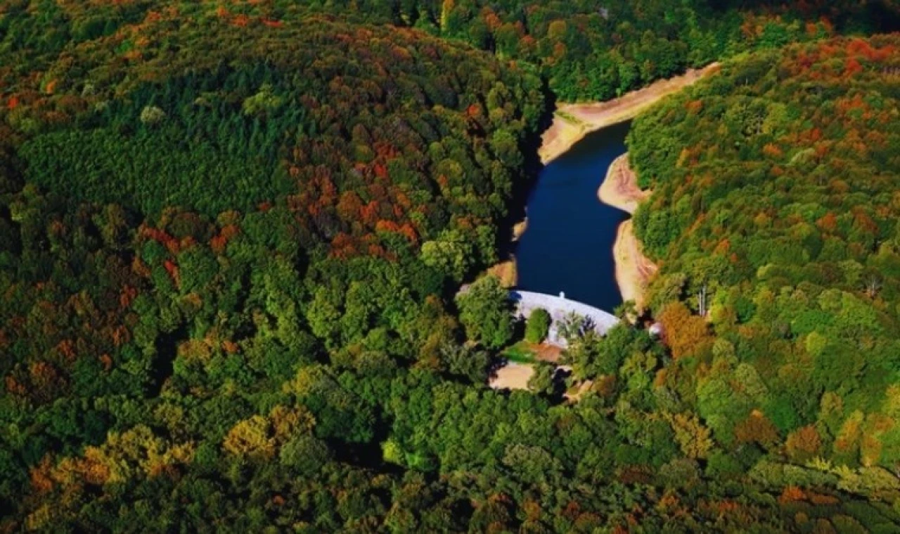 Bakanlık Belgrad Ormanı'nı İBB'in elinden aldı