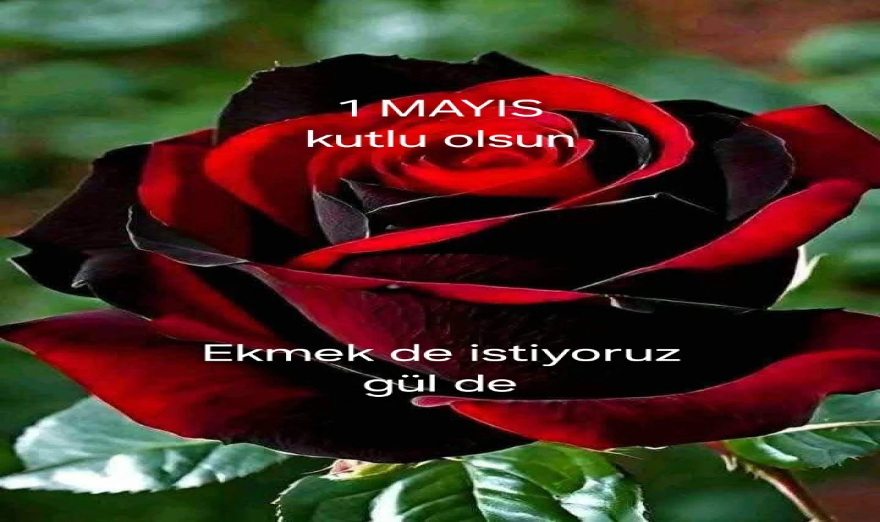 1 Mayıs İşçinin Emekçinin Bayramı, Kutlu Olsun