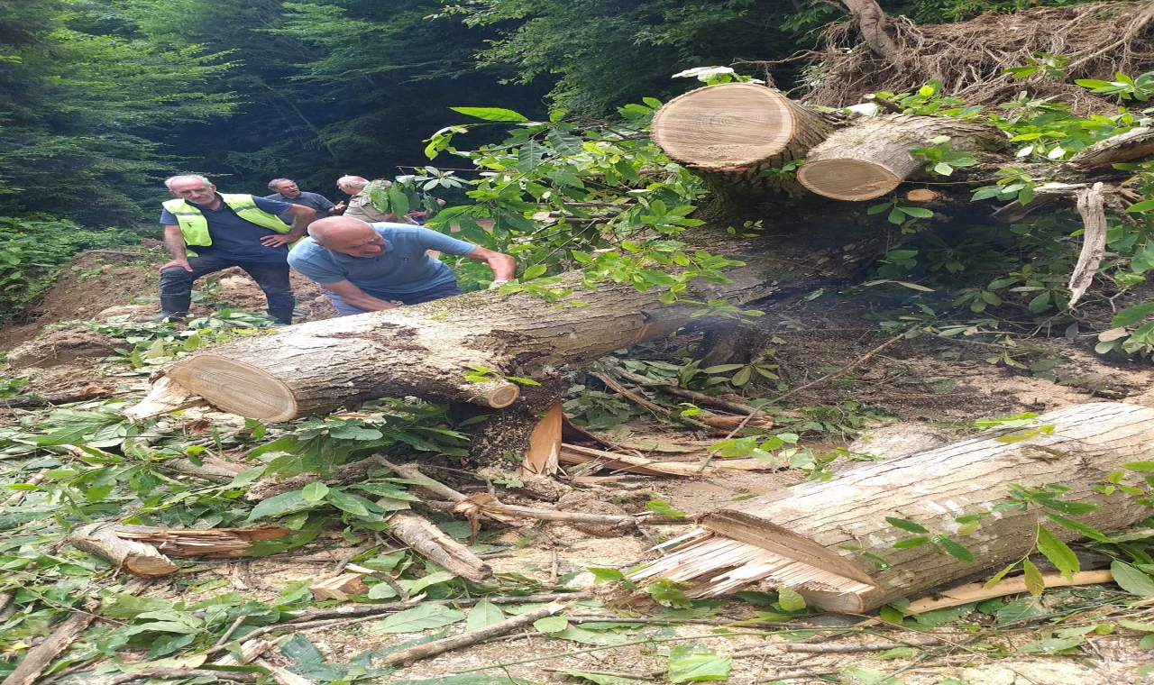 Samsun’dan korkutan açıklama! Canlı yaşam olumsuz etkileyecek