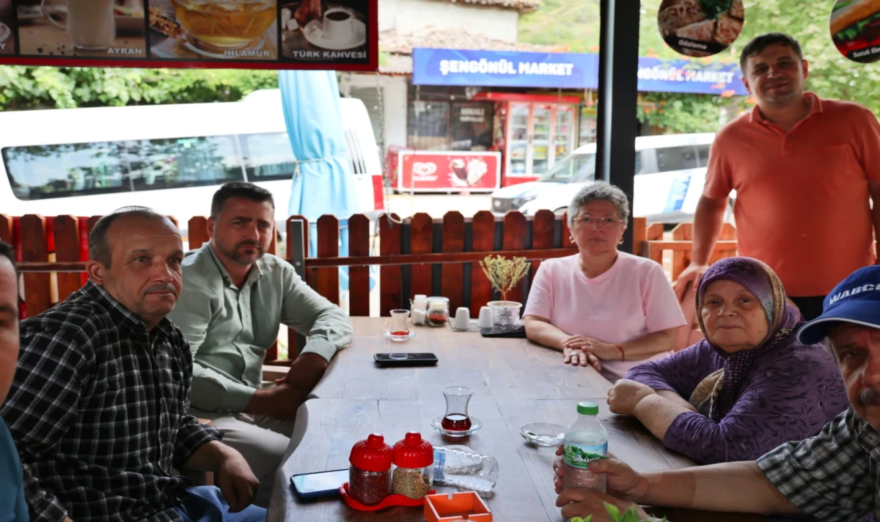 CHP'li Vekil Nurten Yontar Uçmakdere yangınını söndüren ekiplere teşekkür etti