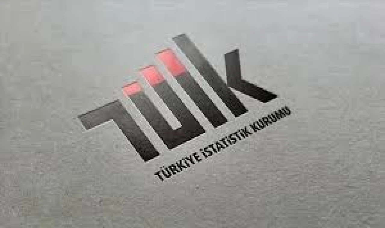 ÜCRETLİ ÇALIŞAN SAYISINI SANAYİ AŞAĞI ÇEKİYOR