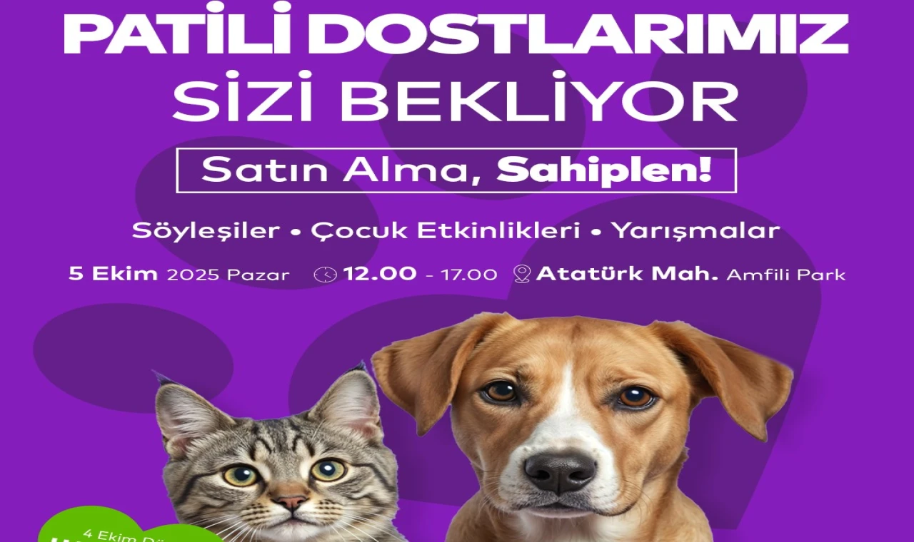 Pazar günü  Ataşehir'de bir köpeğiniz olabilir
