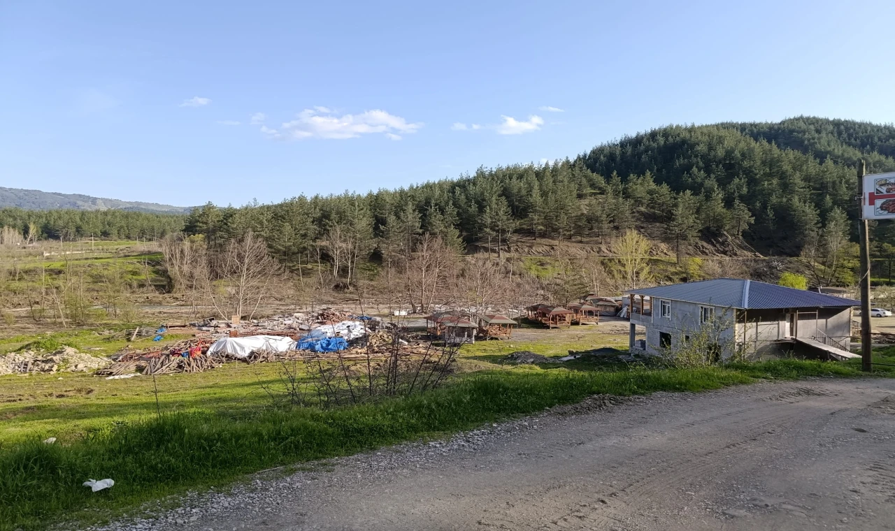 'Fırnız’da Ağaç Katliamına  Derhal Son Verin!'