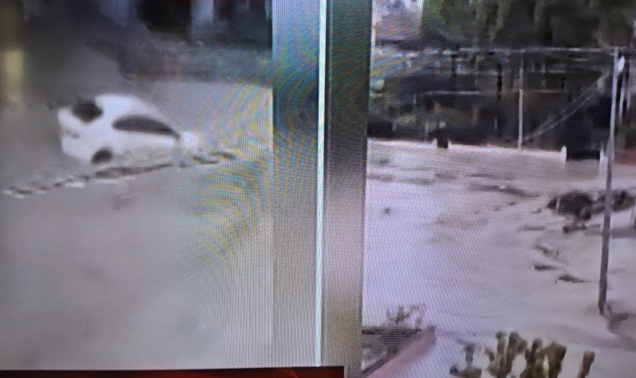 Samsun-Havza'da ve Şırnak'taki yağmur sele yol açtı