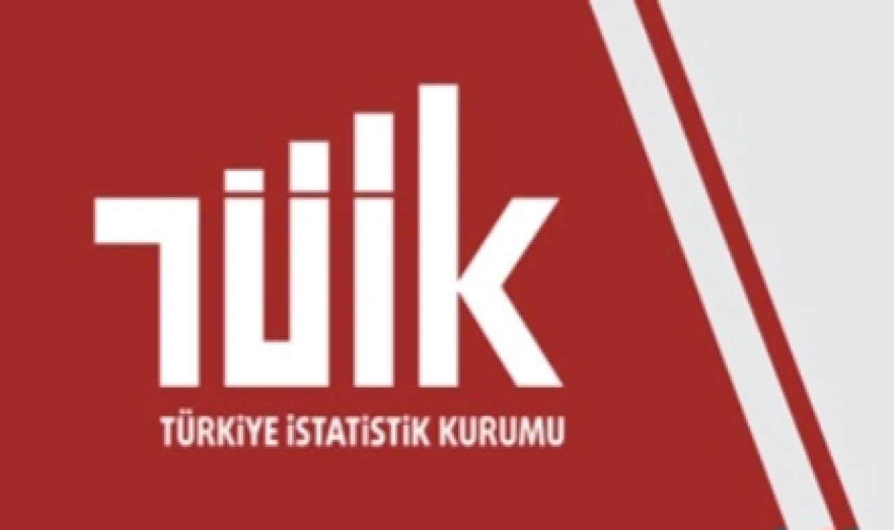 TÜİK Suç Mağduriyeti Araştırmasını yayımladı
