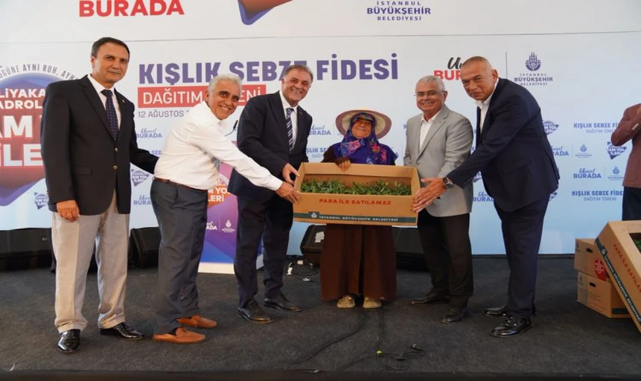 Şile'de çiftçilere ücretsiz kışlık sebze fidesi İBB'den