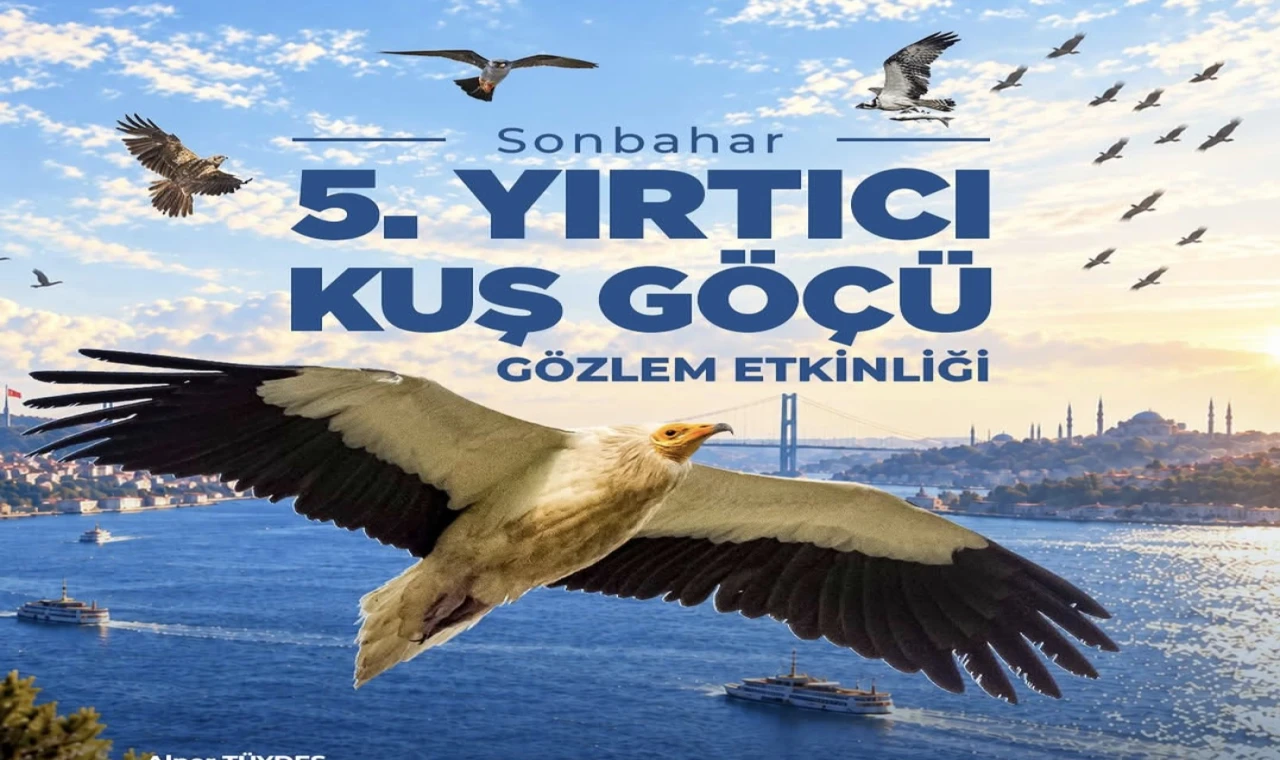Yırtıcı Kuş Göçü Gözlem Etkinliği 4 Ekim'de