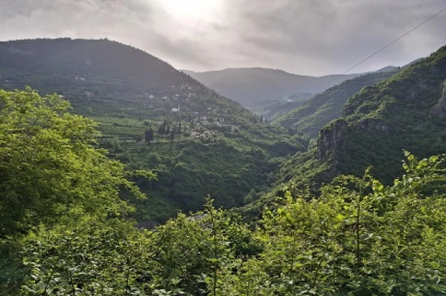 GURBETÇİ