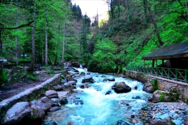 Nasıl Unuturum Seni?