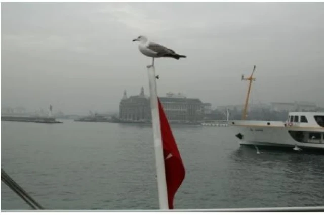 "HADİ UYAN!"