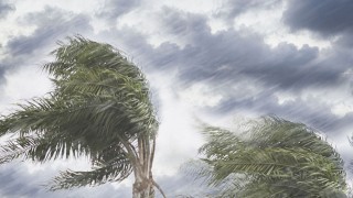 6 ilde kuvvetli yağış bekleniyor