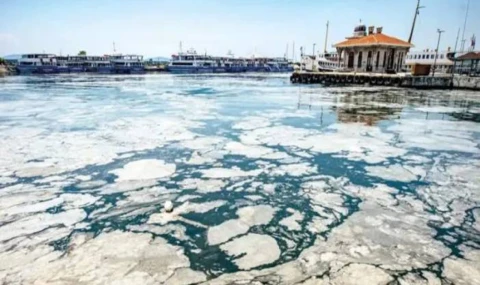 Marmara'daki kâbusun nedeni sadece atıklar değilmiş
