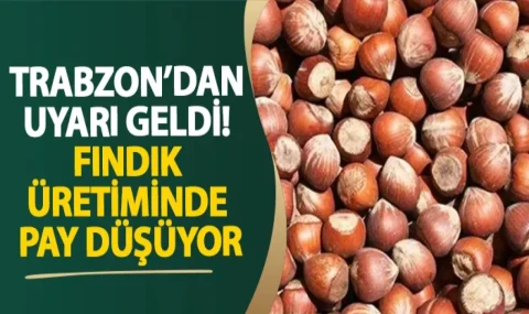 Trabzon’dan uyarı! Fındık üretiminde pay düşüyor