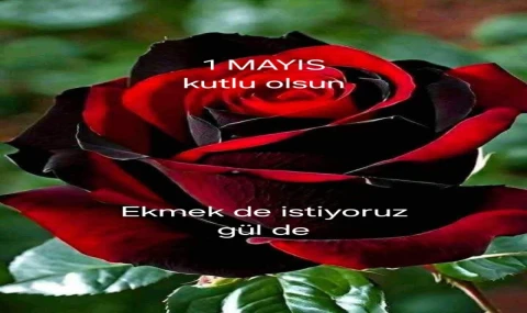 1 Mayıs İşçinin Emekçinin Bayramı, Kutlu Olsun