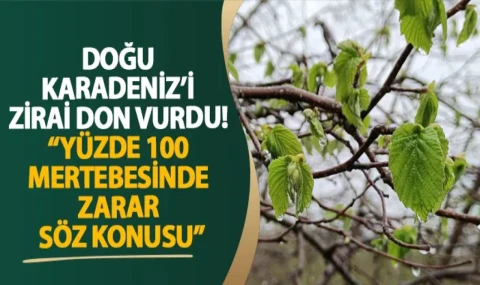 Doğu Karadeniz'de don: Yüzde 100 zarar