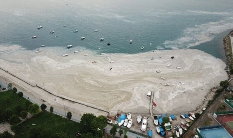 Marmara Denizi İçin Acil Koruma Planı Talep Ediyoruz!