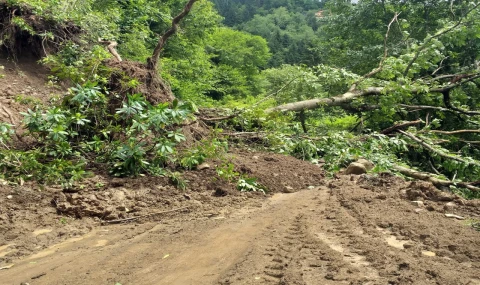 Trabzon'da şiddetli yağış heyelanlara neden oldu