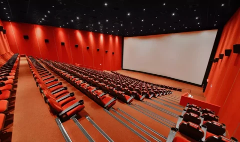 TÜİK'e göre Sinema ve Gösteri Sanatları'nda gelişme...