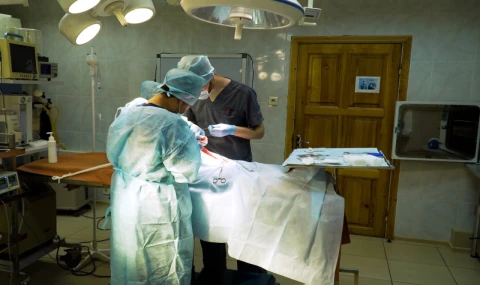 Ataşehir'de sokak hayvanları tedavi ediliyor