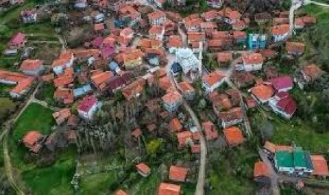Çorum'da bir köy ŞAP nedeniyle karantinaya alında