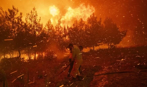 Çanakkale, Edirne, Hatay yandı; Bakan son durumu açıkladı