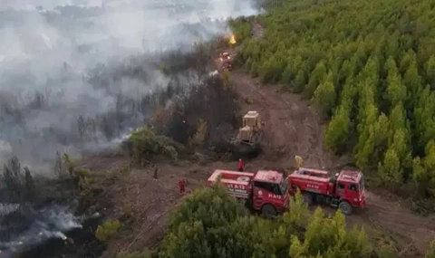 Osmaniye'deki yangında bir orman işçisi şehit oldu.