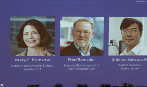 Nobel 2025 Tıp Ödülü 3 bilim insanı tarafından paylaşıldı