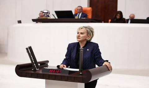 Kadın Cinayetleri Araştırılsın önergesine TBMM'de ret