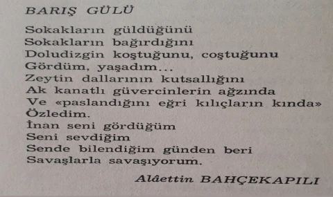 BUGÜN 21 MART DÜNYA ŞİİR GÜNÜ. 'BARIŞ GÜLÜ' ŞİİRİMİ SUNUYORUM