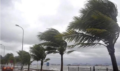 Meteoroloji açıkladı:  Bugün hava nasıl olacak?